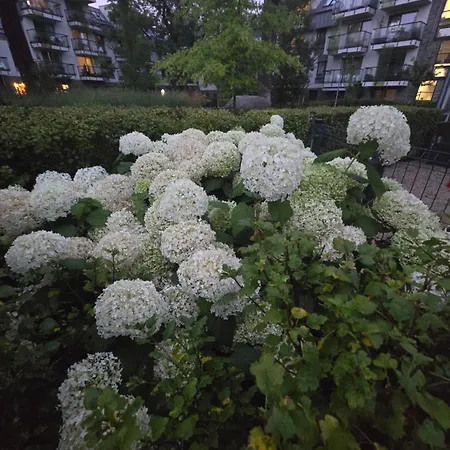 W Poludniowej Czesci Wroclawia Apartment Wroclaw